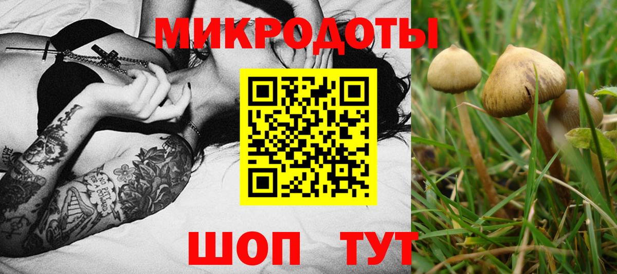 Курчалой  Галлюциногенные грибы мухоморы  Вход с VPN 